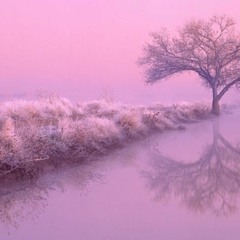 Swik - Only Have Faith