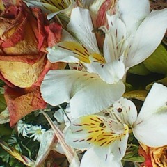 Two Again (Christian Burrows) (Cover)