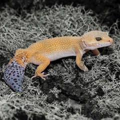 Don't Forget To Breathe