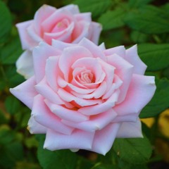 Your Beautiful, James Blunt Cover