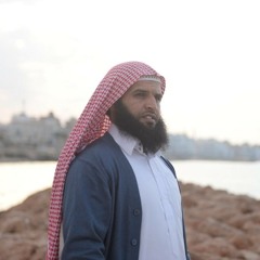 الشيخ عز - سوره هود