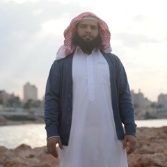 الشيخ عز الدين العوامي - سوره البقره