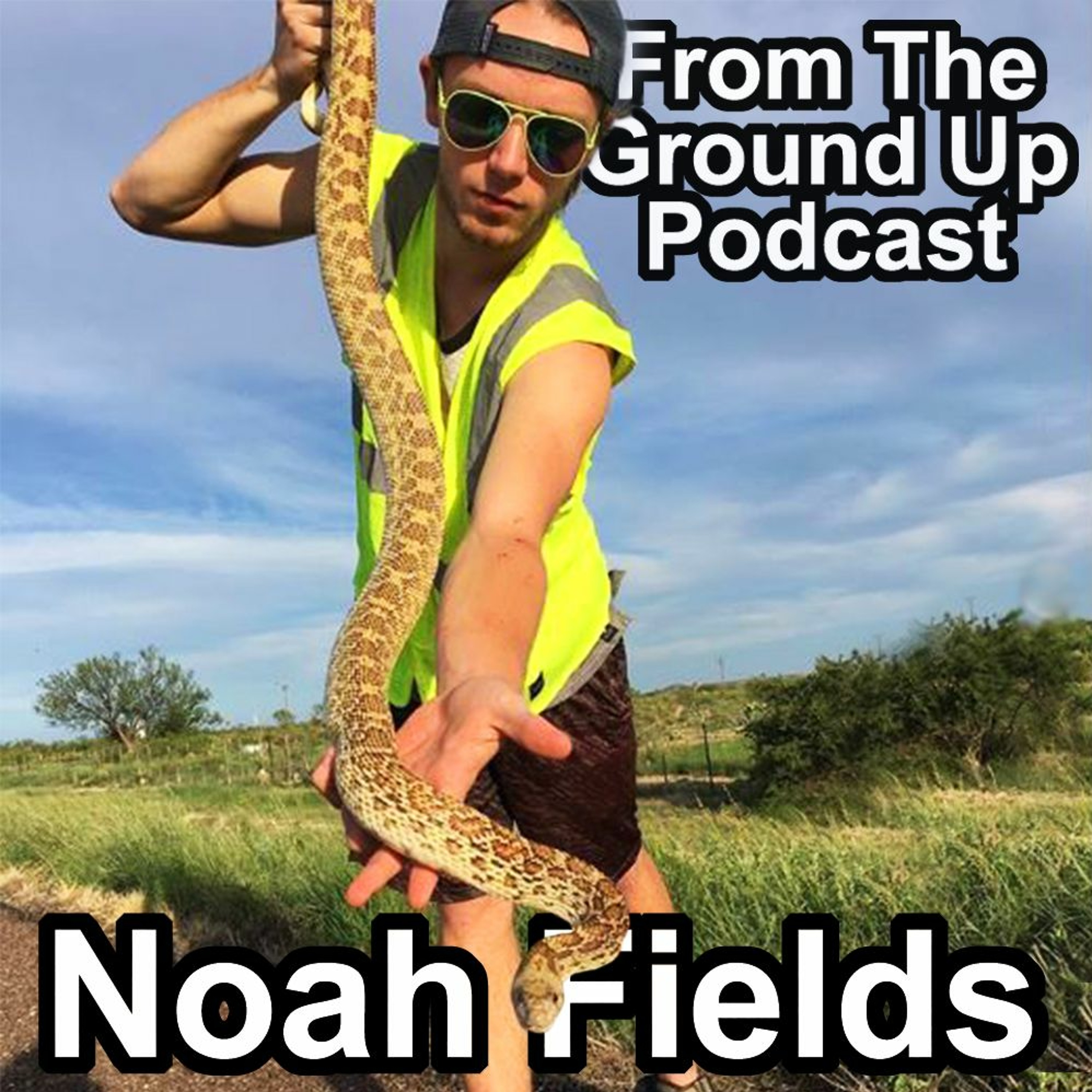 Field Herping w/Noah Fields