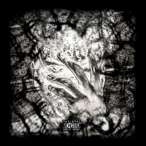 REBEL (Prod. Zyller)