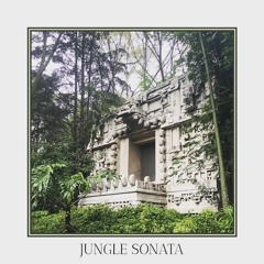 Jungle Sonata (Mixtape No.04)