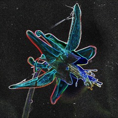 Where The Air Is Free