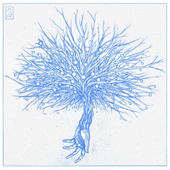 Dormant w/ joe nora