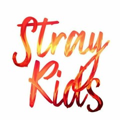 Stray Kids~ N/S (곡과곡)