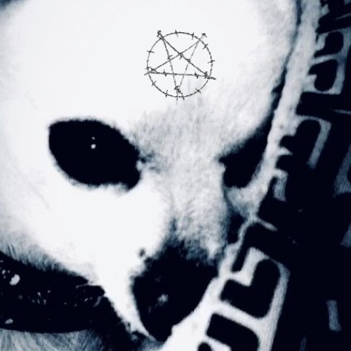 EX!T September 2019 Mix