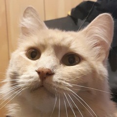 This house ain't a home (demo)