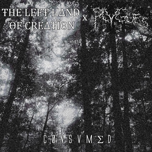P L V G U E S X ŦHE LEFŦ HΔNĐ ƟF CⱤEΔŦĬƟN - C Ø N S V M Σ D