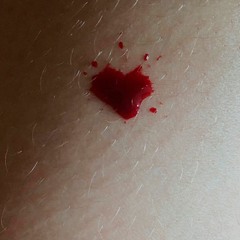 voice message - ATTENTION WHORES ft. rosemary loves a blackberry