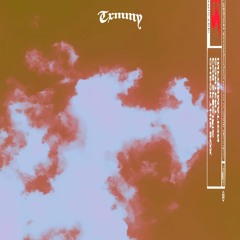 FLY (Prod. Txmmy)
