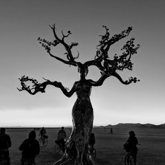 Dahu | Burning Man 2019 | Alborz