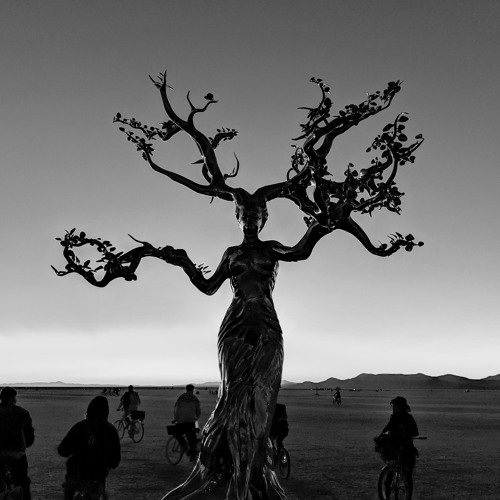 Dahu | Burning Man 2019 | Alborz