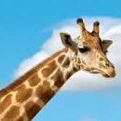VACUUM! - giraffe neck ( prod by feniko)