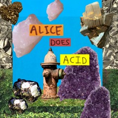 im a bunny holding a basket