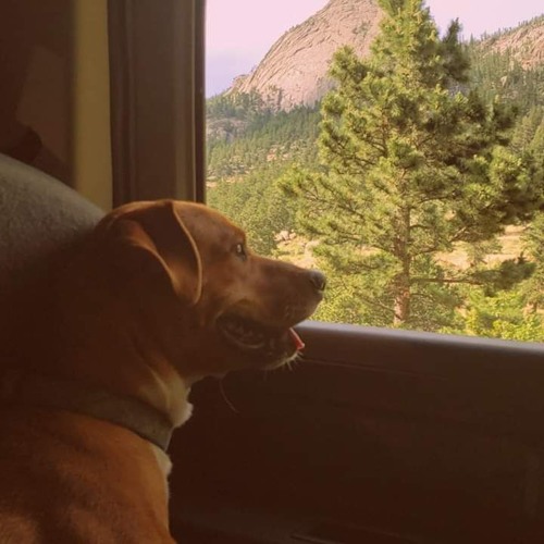 Roots Girl ❥* - Eli Mac