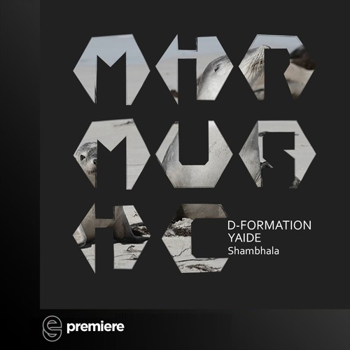 Premiere: D-Formation & YAIDE - Shambhala - MIR MUSIC