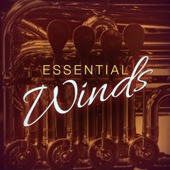 FLEX | Essential Winds Demo 2