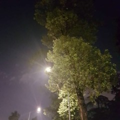 Ren - Moving On (Original)