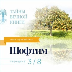 Недельная глава Торы Шофтим. Передача 3