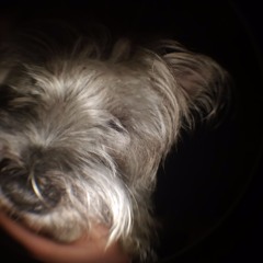 LORD Forgive Me, For I Am Become Swag