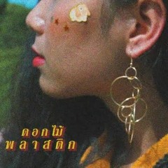 WILA - ดอกไม้พลาสติก