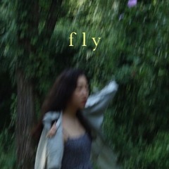 Fly (cover)