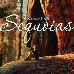 Fall Adventures in California's Sequoia Country