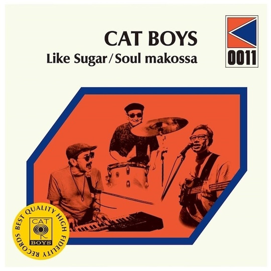 CAT BOYS Shun Shun 今夜は最高 7inch レコード