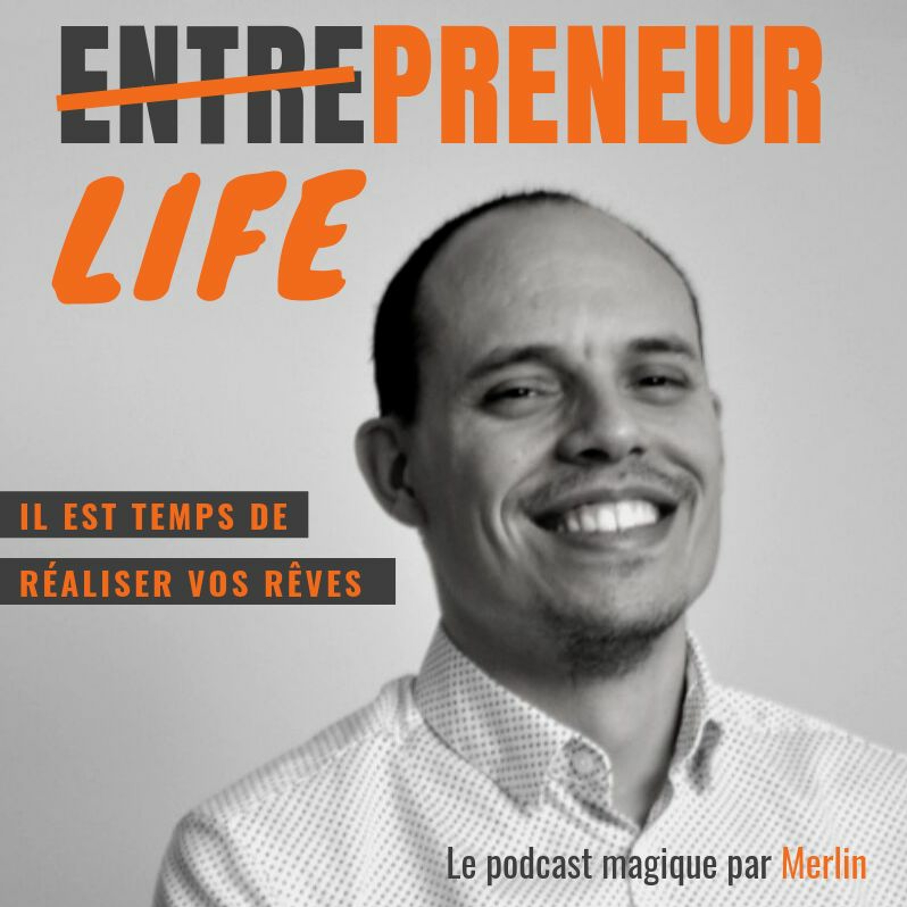 Lifepreneur - Réalisez vos rêve et vivez la vie que vous désirez vraiment