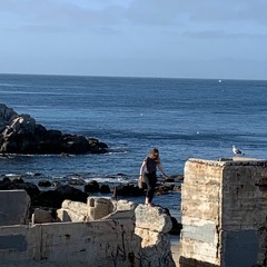 Mariner's Apartment Complex Cover