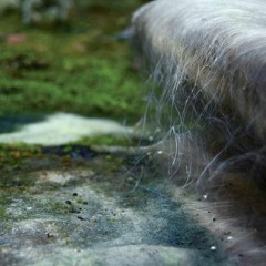 Mohel - The Second Temple (Raga for Brutal France / A Trucker's Dream)
