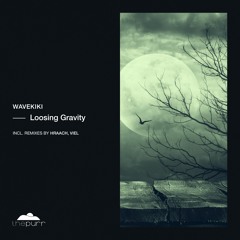 Wavekiki - Loosing Gravity (Hraach Remix)