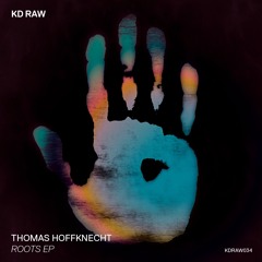 Thomas Hoffknecht - This Vision (Original Mix) - KD RAW 034