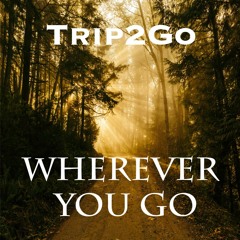 Trip2Go- Wherever you go (Original Mix)