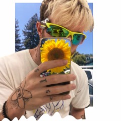 never been (prod. rcosa x 33)