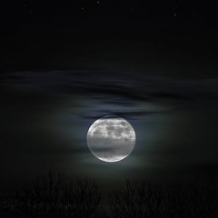 If you can not sleep