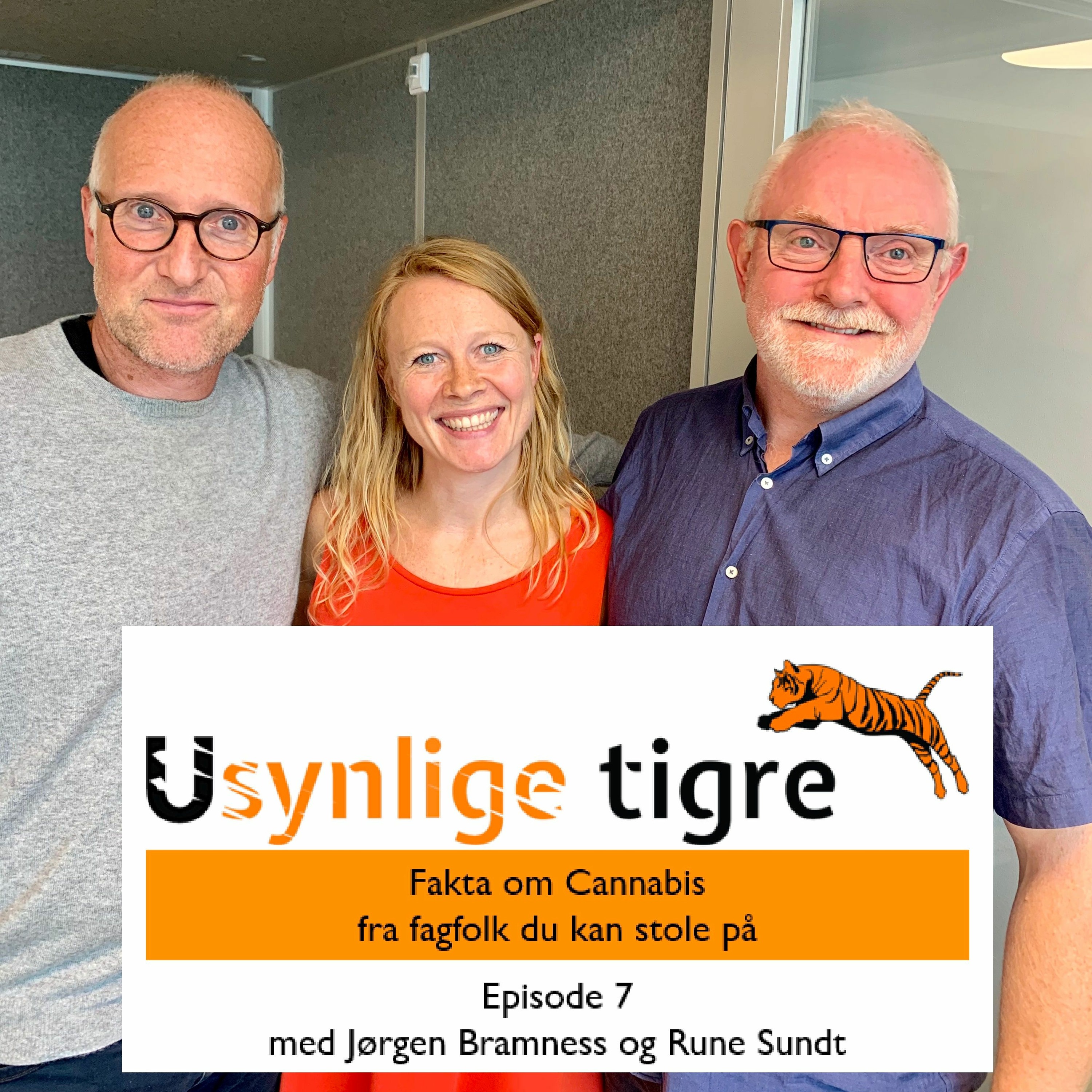 Usynlige tigre-podden