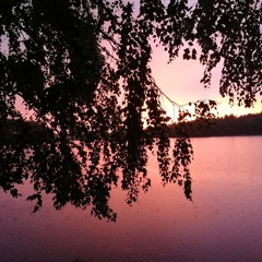 OrAreYouJustHappyToSeeMe