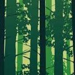 Forest - Tactical Groove Orbit Original Track