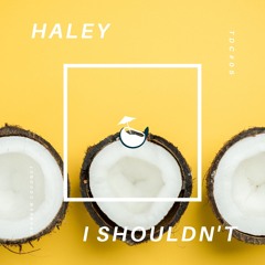Haley Vassar - I Know I Shouldn't (Dark Side)