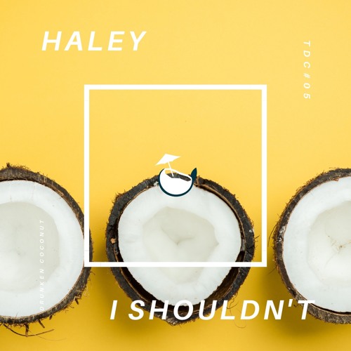 Haley Vassar - I Know I Shouldn't (Dark Side)