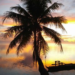 Aitutaki Paradise  ( Rex )