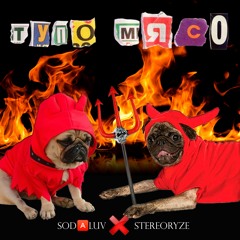 ХЭЛЛО ПРИТТИ