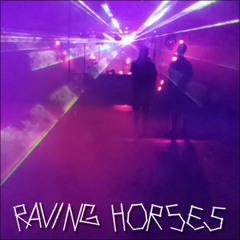 Live @ Raving Horses 2019