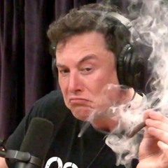 Elon Musk With A Draco