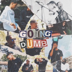 Going Dumb(feat. Farrel_X & Leo)