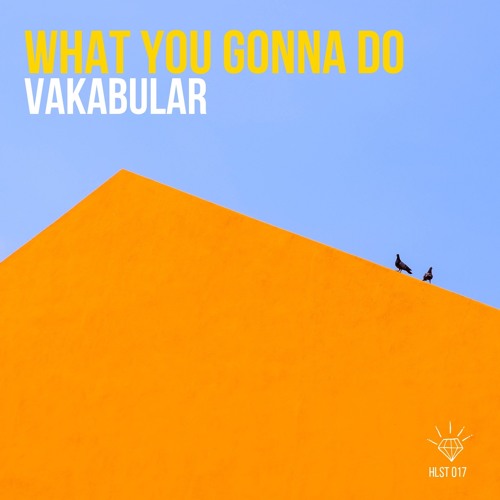 HLST 017: Vakabular - What You Gonna Do (Original Mix)